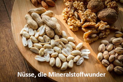 Beitrag "Nüsse, die Mineralstoffwunder" | menssensus® Institut Forschungsinstitut & Therapiezentrum Zülpich